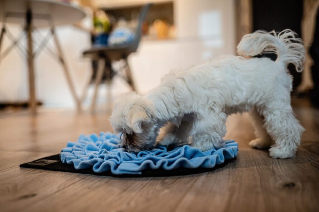 Mata węchowa dla psa niebieska. Premium handmade | NobleDOG