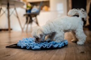 Mata węchowa dla psa niebieska. Premium handmade | NobleDOG