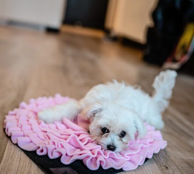 Mata węchowa dla psa różowa. Premium handmade | NobleDOG