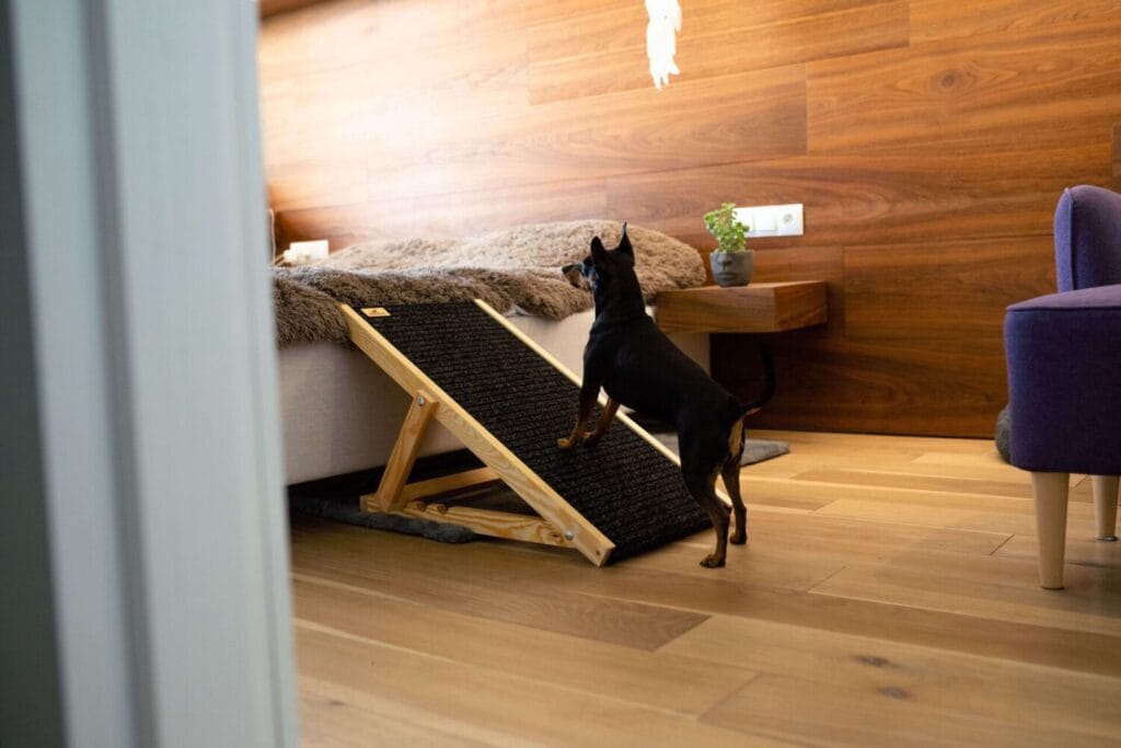 Drewniana rampa dla psa NobleDOG