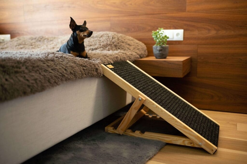 Drewniana rampa dla psa NobleDOG