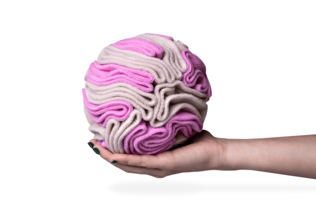 Kula węchowa dla psa NobleDOG