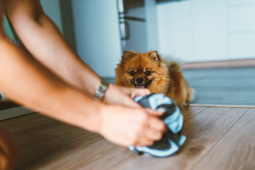 Kula węchowa dla psa NobleDOG