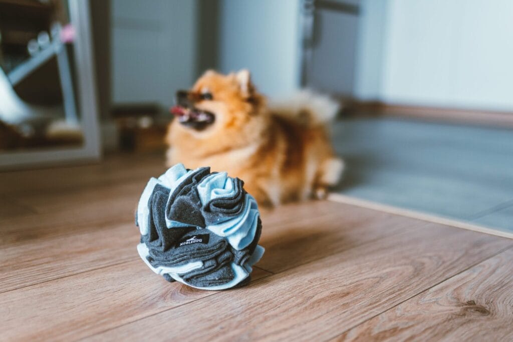 Kula węchowa dla psa NobleDOG