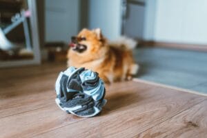 Kula węchowa dla psa NobleDOG