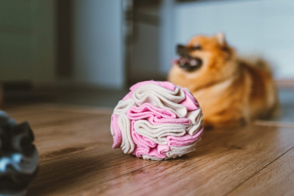 Kula węchowa dla psa NobleDOG