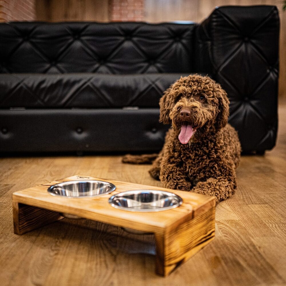 Bufet na miski dla psa NobleDOG