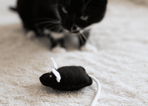zabawka myszka z grzechotką dla kota