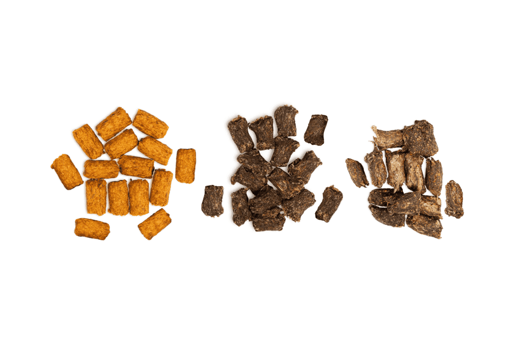 Zestaw treserek dla psa