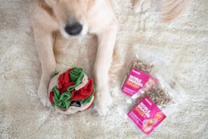 Kula węchowa dla psa ze smaczkami