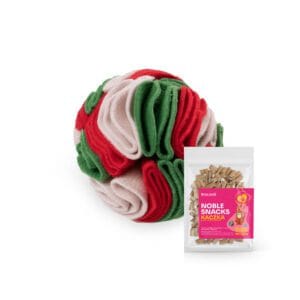 Kula węchowa dla psa ze smaczkami