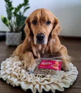 Zestaw dla psa mata węchowa + smaczki