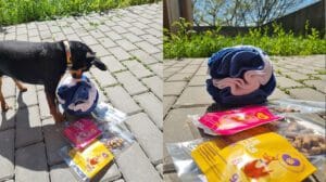 Kula węchowa zabawka pobudzająca umysł psa