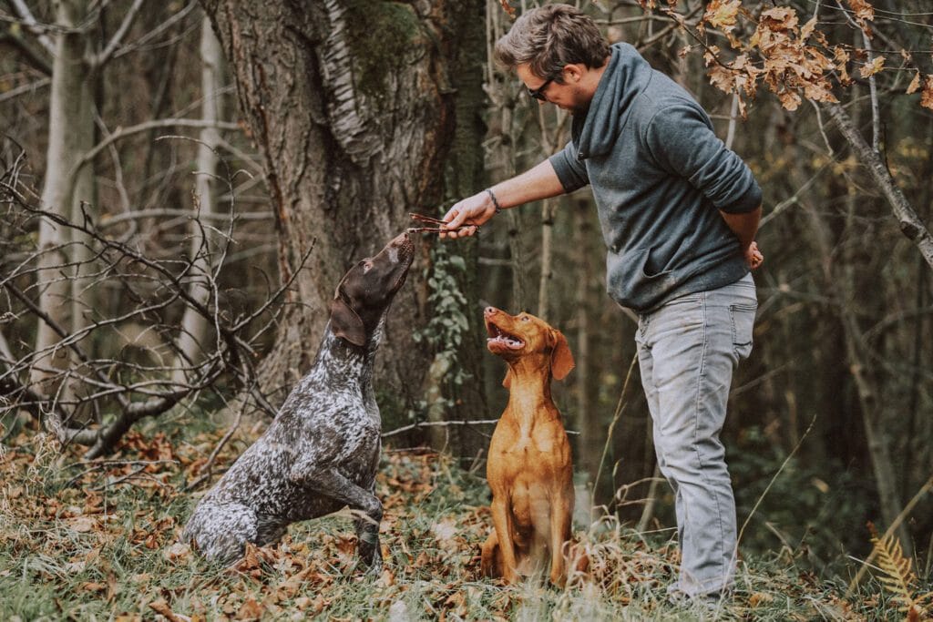 Jak dobrać przysmaki na trening z psem?