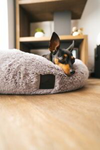 Pluszowe legowisko shaggy dla psa 70cm