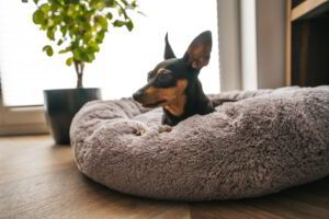 Pluszowe legowisko shaggy dla psa 70cm