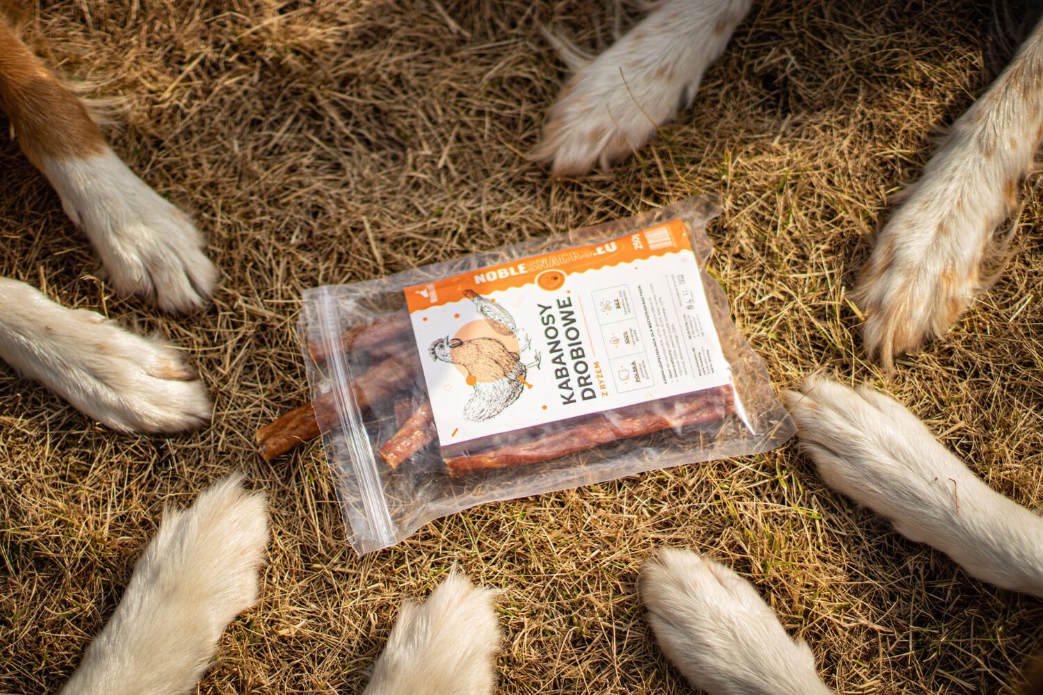 Kurczak w diecie psa – fakty i mity dotyczące uczulenia i zdrowotności