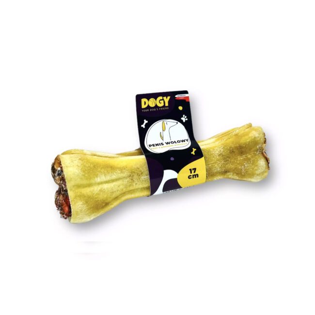 Kość z penisem wołowym 17cm - DOGY